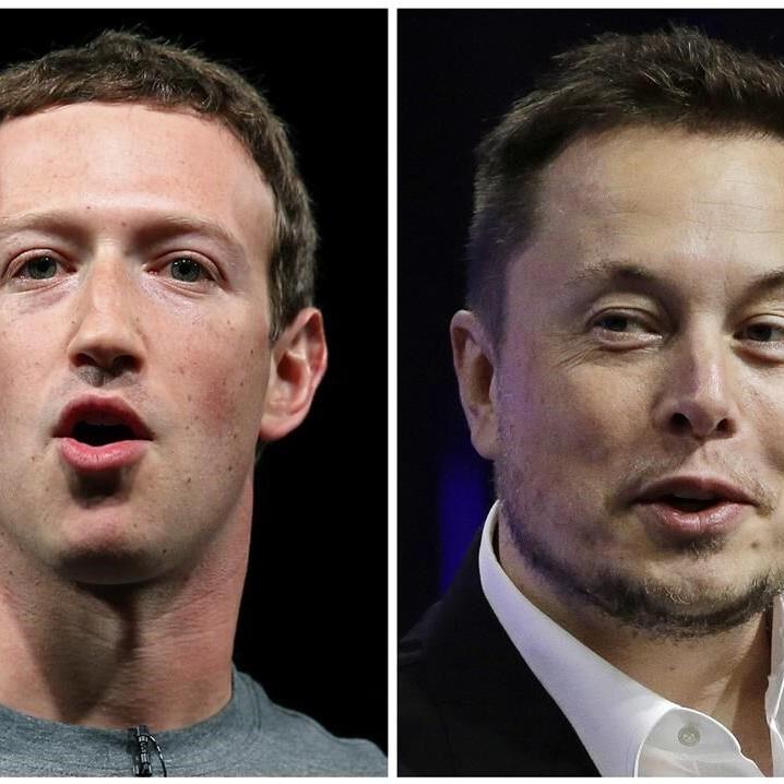 Musk says his cage fight with Zuckerberg will be streamed on X